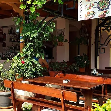 Arkadia 酒店 普里莫尔斯科